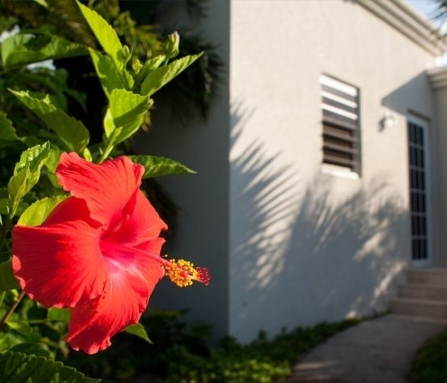 Meads Bay Beach Villas