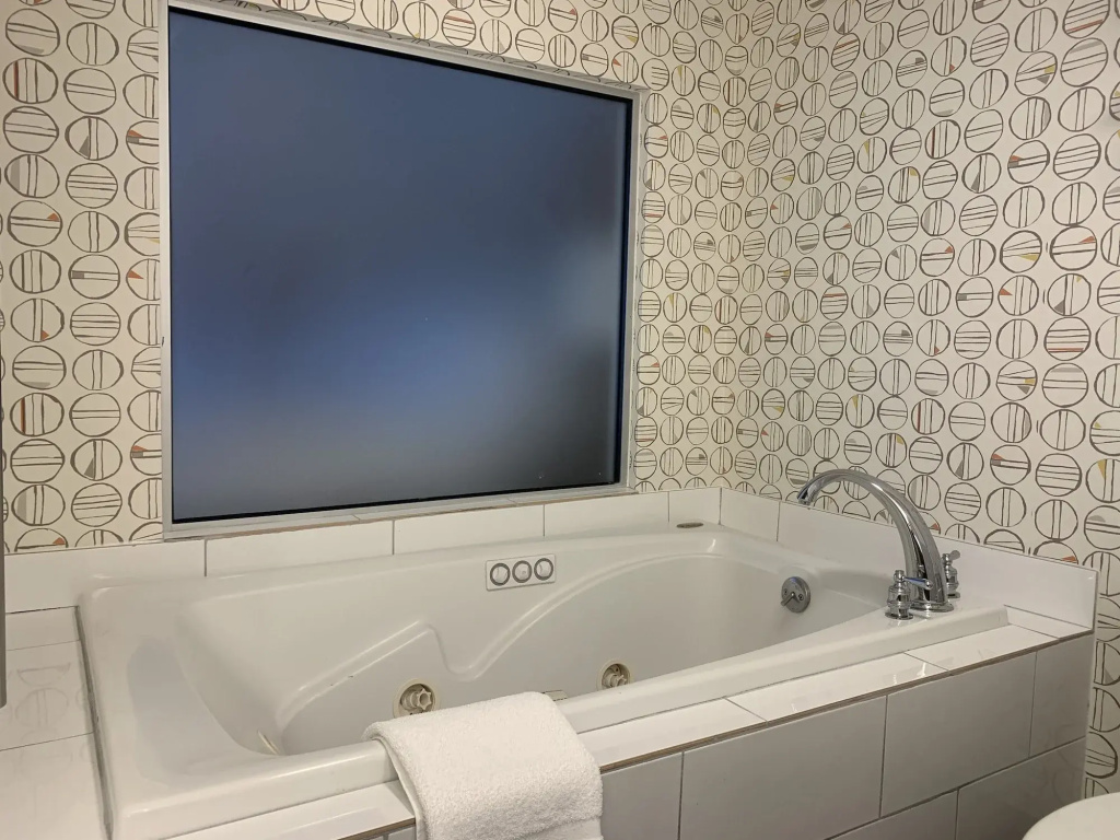 Holiday Inn Asheville Biltmore by IHG - Général