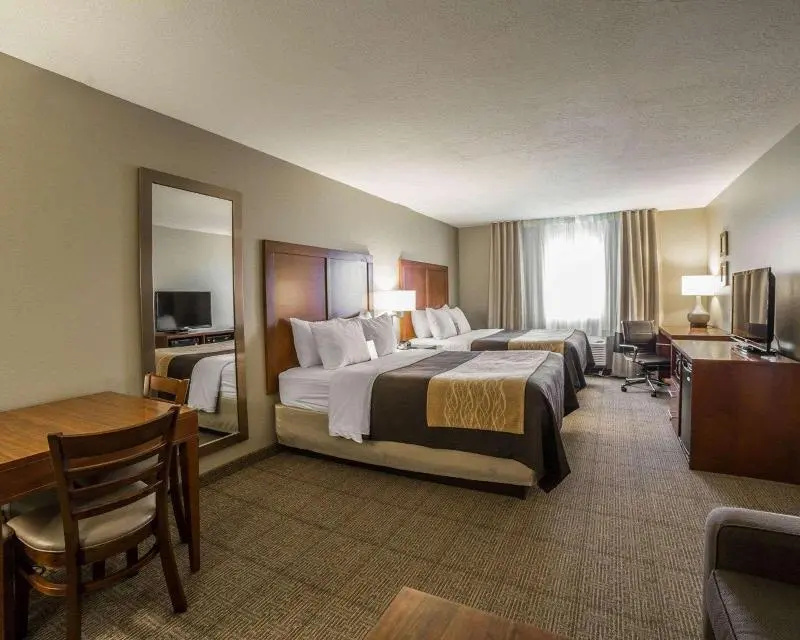 Standard Suite