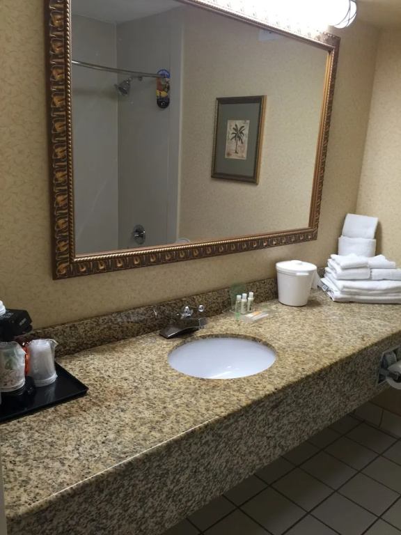 Holiday Inn Lumberton by IHG - Chambres