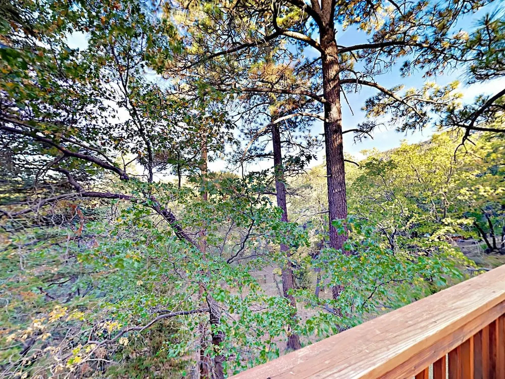 1452 Rockspray Dr House by RedAwning
