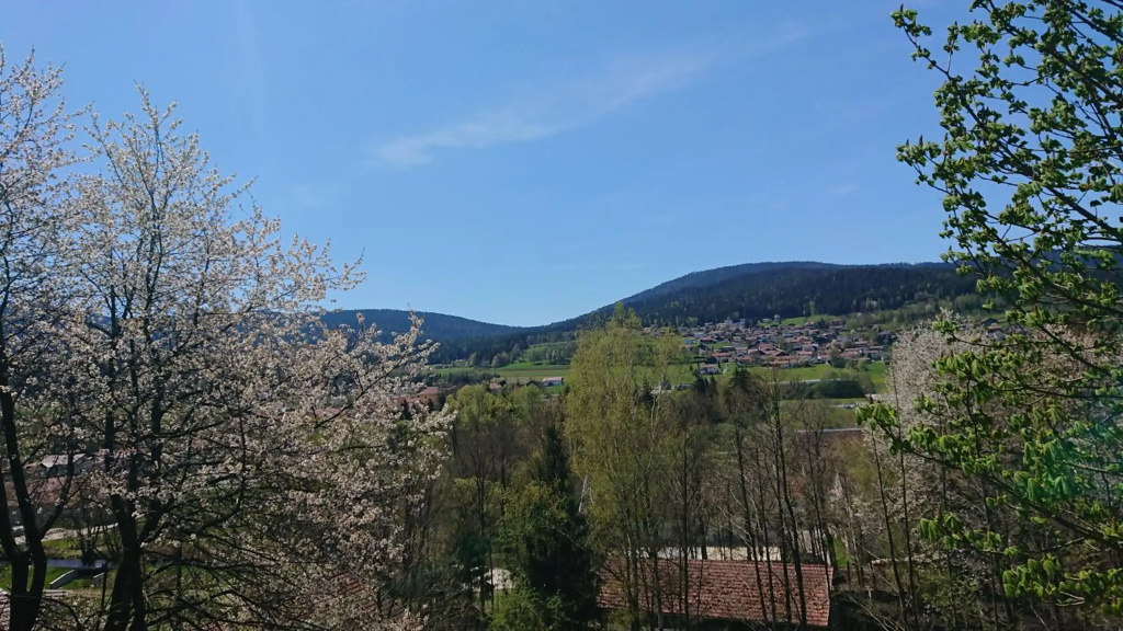 Hotel photo 34