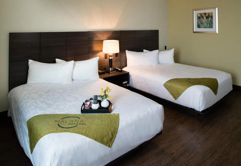 Malana Hotels & Suites - Général