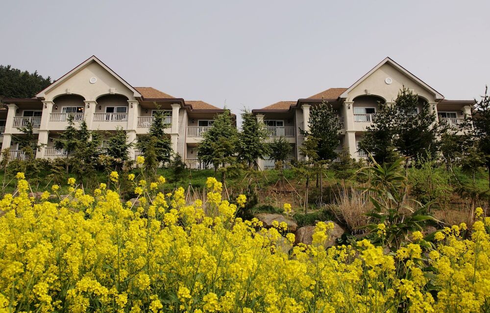 Daea Ulleung Resort by null