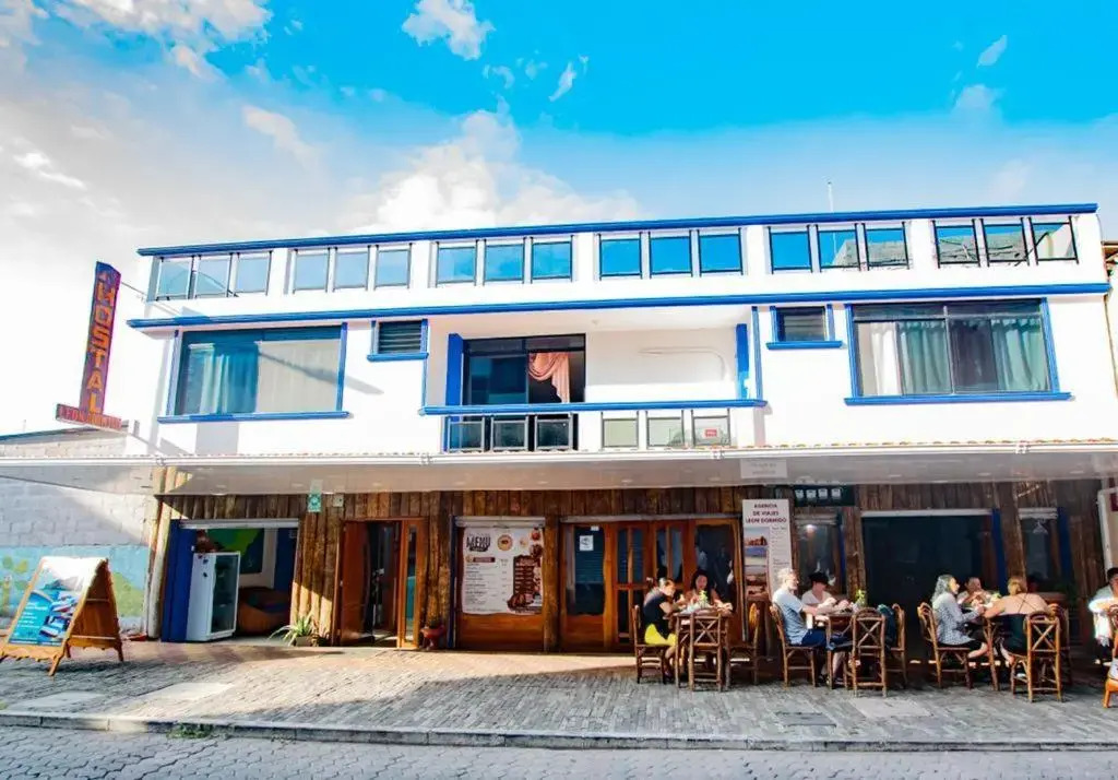 Hostal León Dormido by null