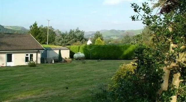 Tynycae - Général
