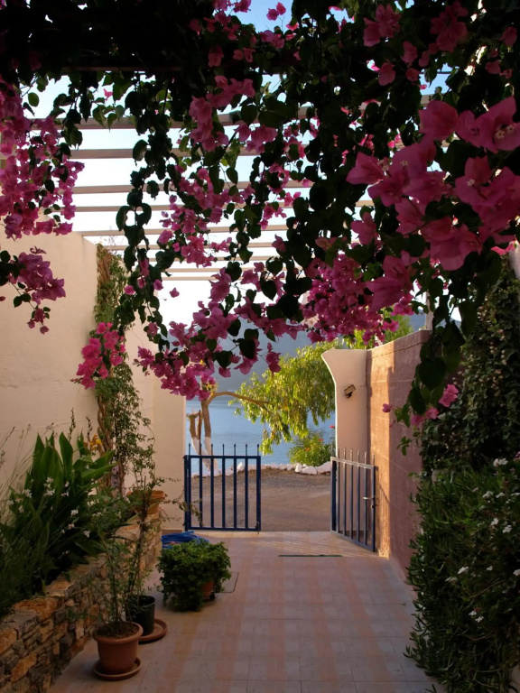 Michalis Studios - фото 14