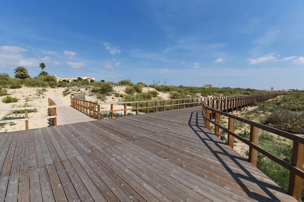 Beach & Waterfront