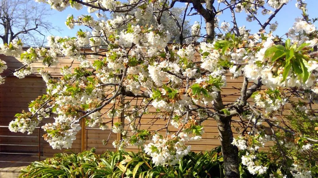 La MoMA 2