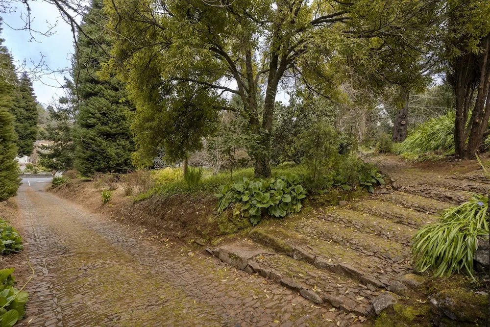 Surrounded by Nature - Casa da Cebola