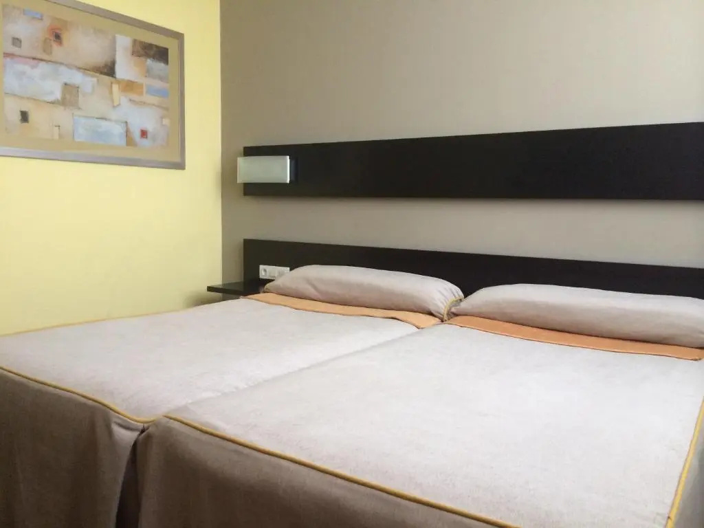 Standard Double room (twin beds)