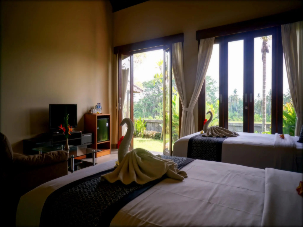 Deluxe Double room (twin beds)