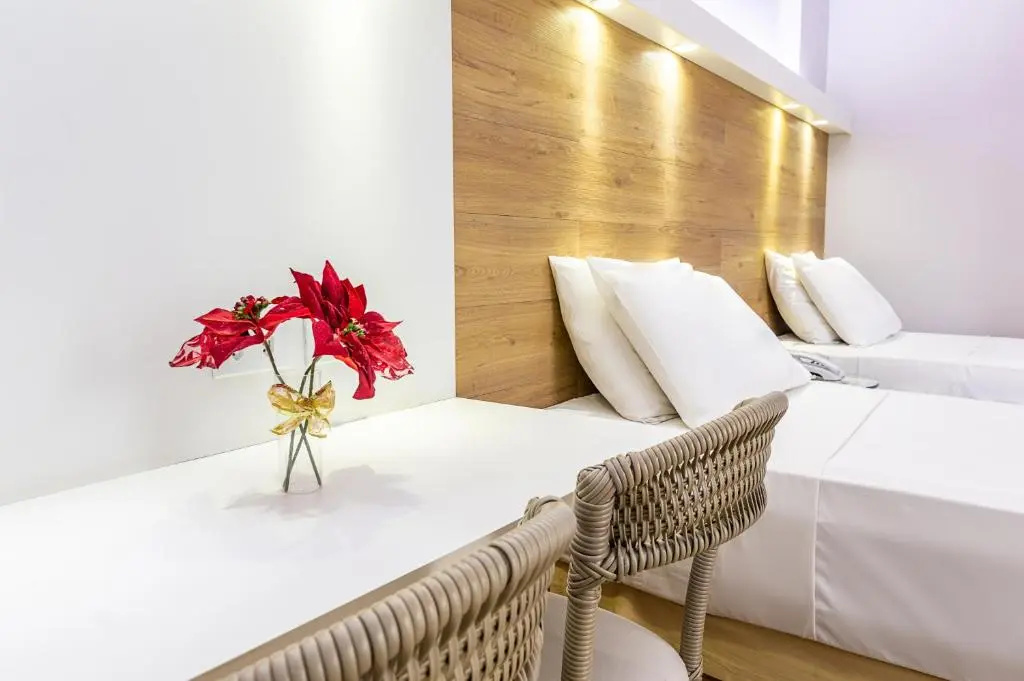 Premium Double room (twin beds)