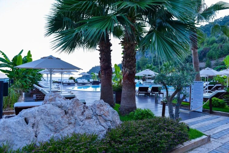 Beach & Waterfront