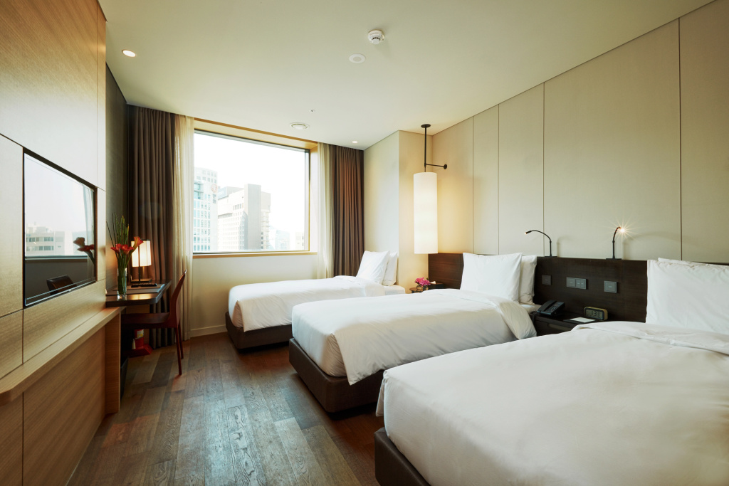 Crown Park Hotel Seoul Myeongdong - Général