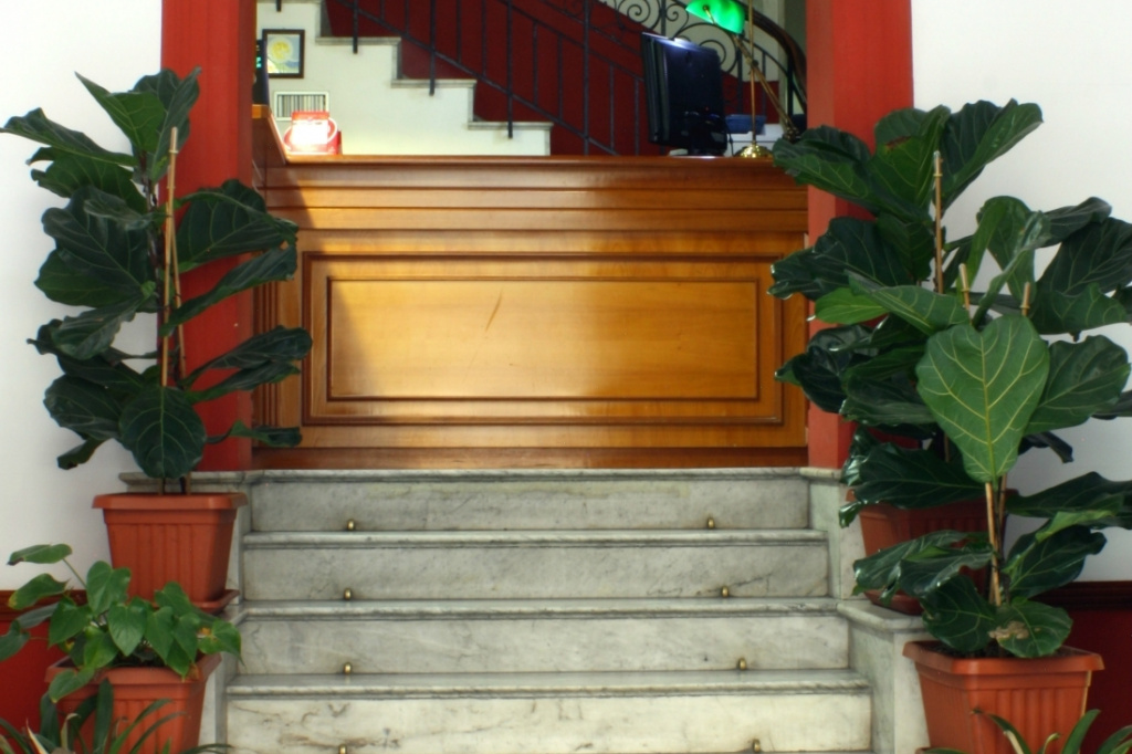 Hotel Tonic - Général