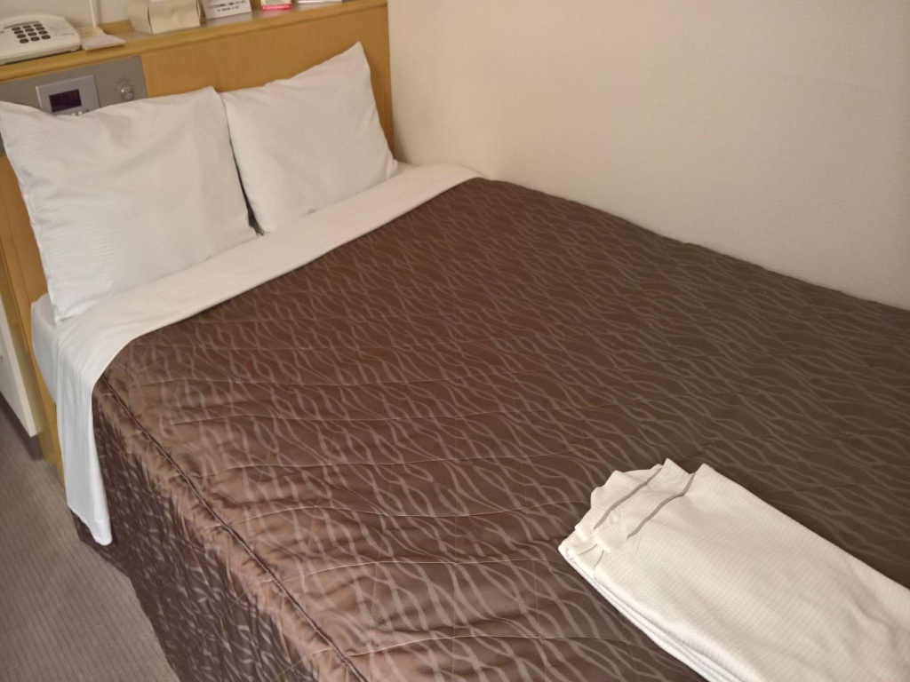 Hokkaido Dai-ichi Hotel Sapporo 사진 6