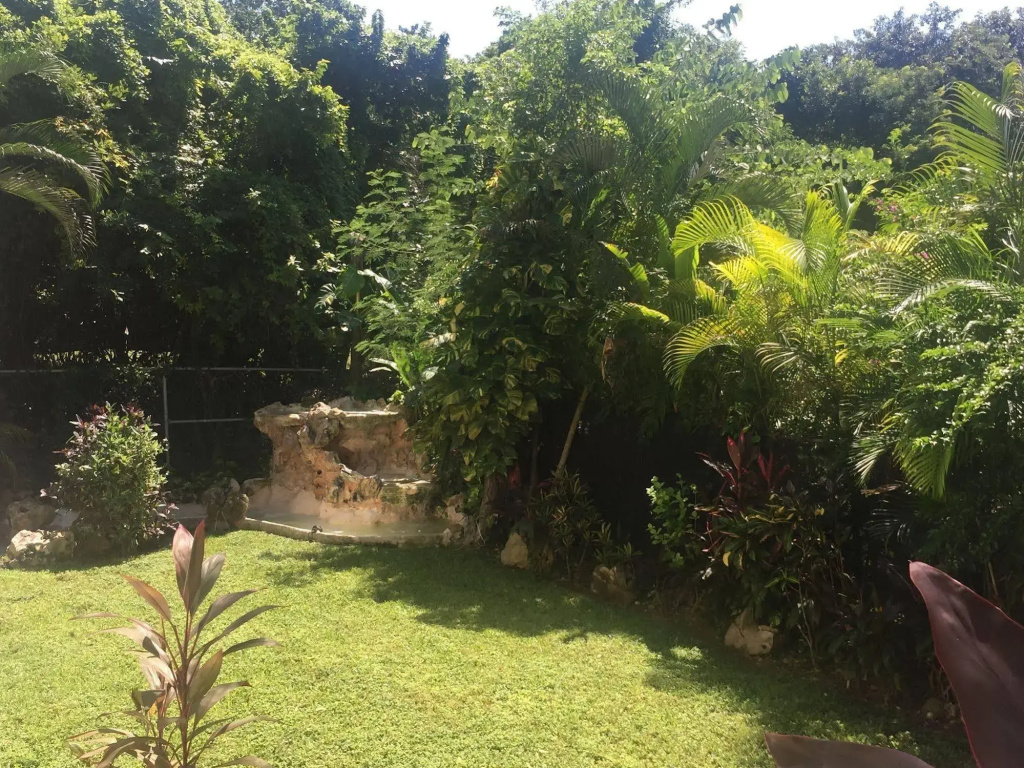 Green Oasis Home Boutique - Général