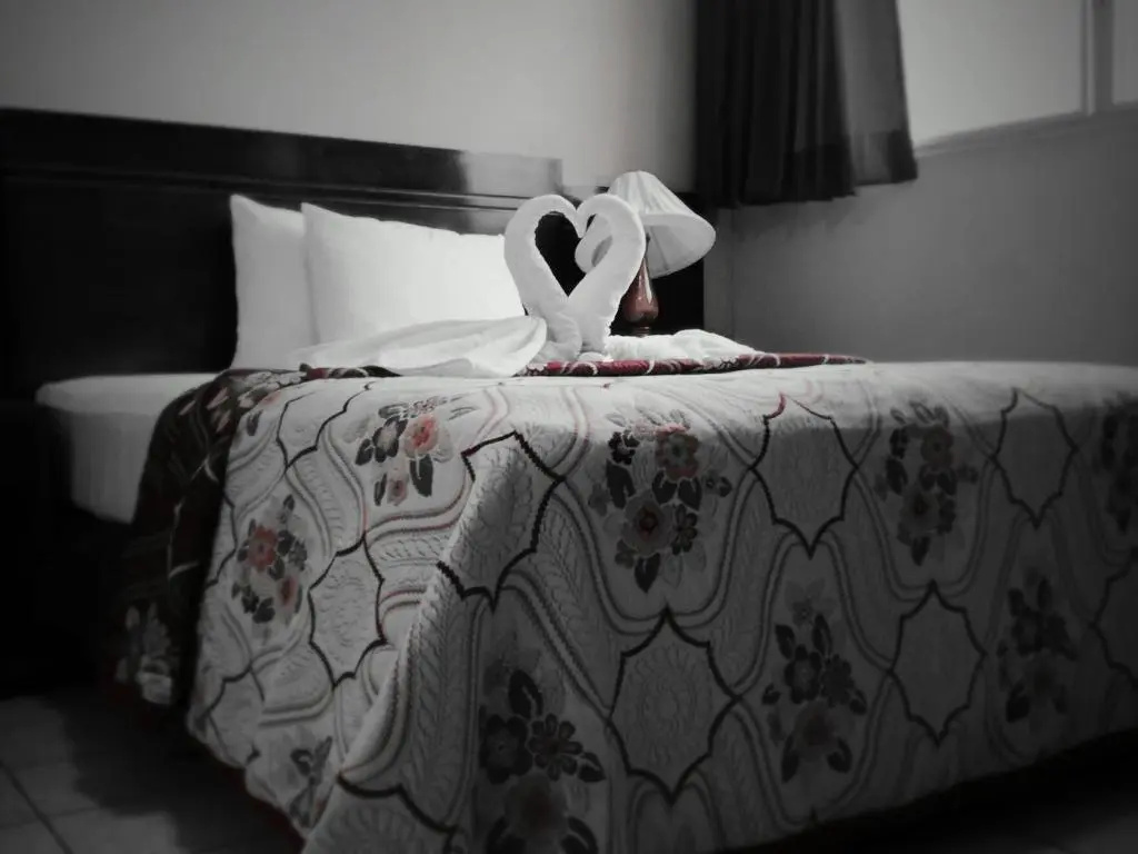 Standard Double room (twin beds)