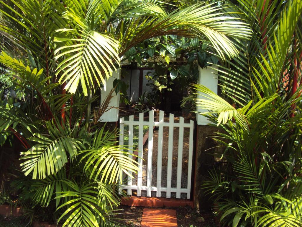 Angel Villa