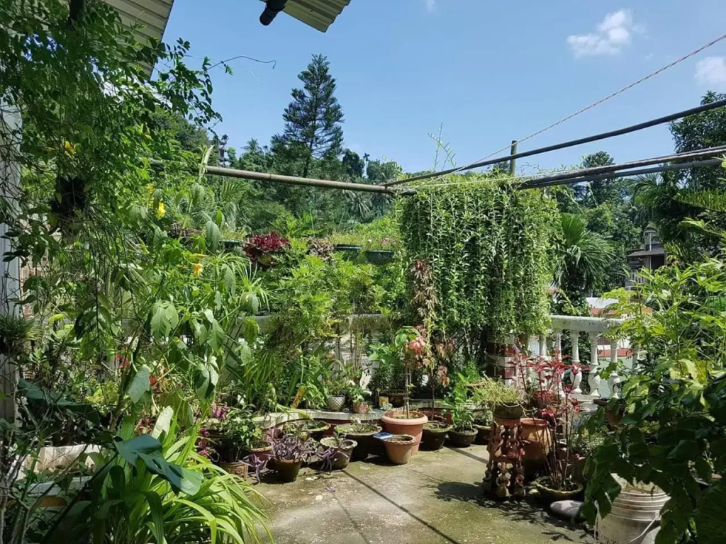Vamoose Madhumita Homestay