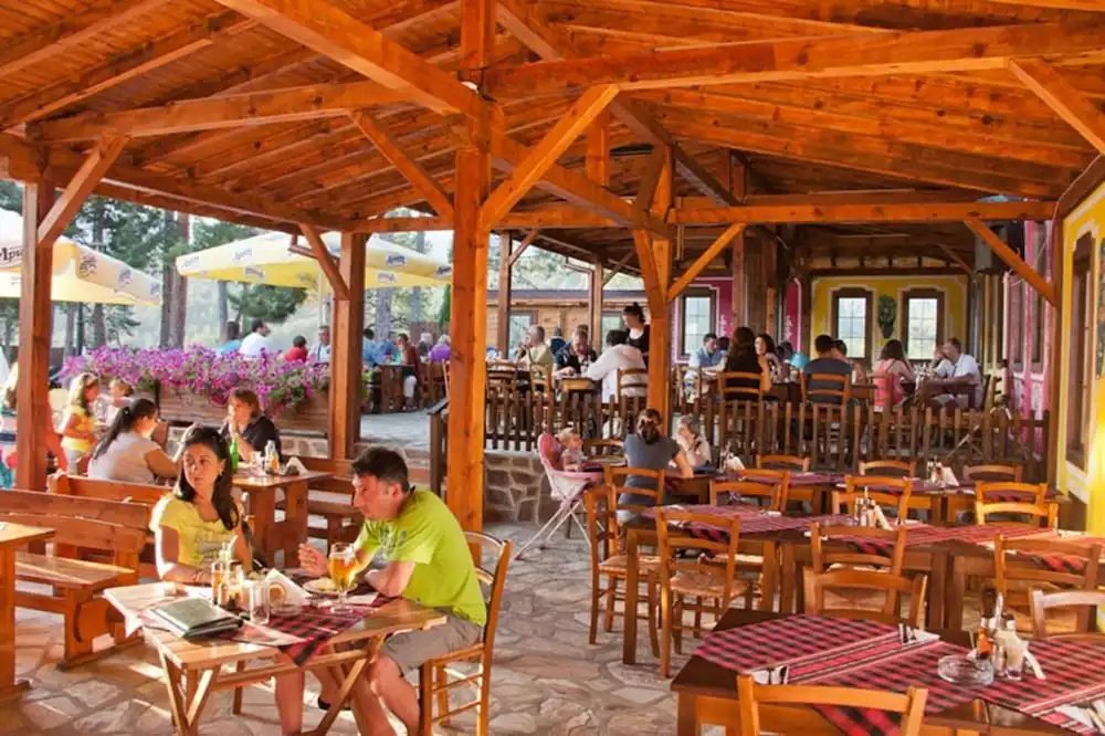 Hotel Elbrus SPA & Wellness - Général