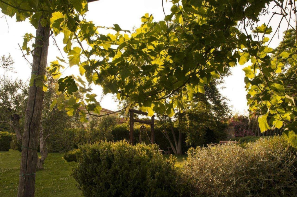 Agriturismo Podere Turicchio - Général