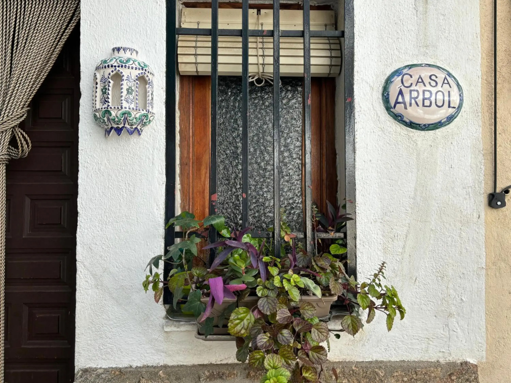 Casa Árbol