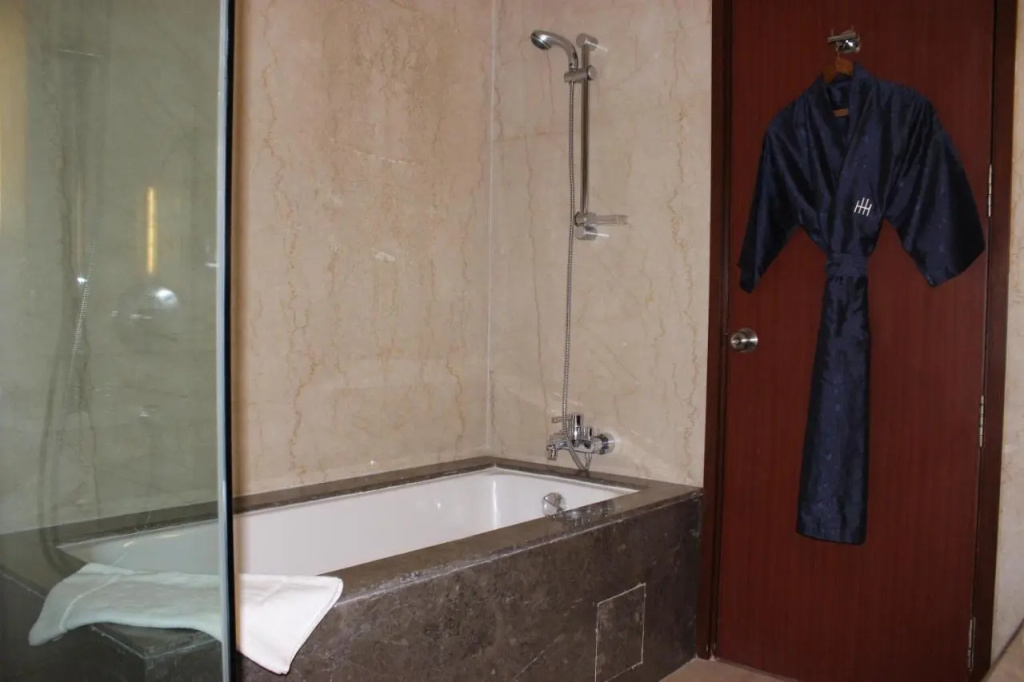 The Hans Hotel New Delhi - Général