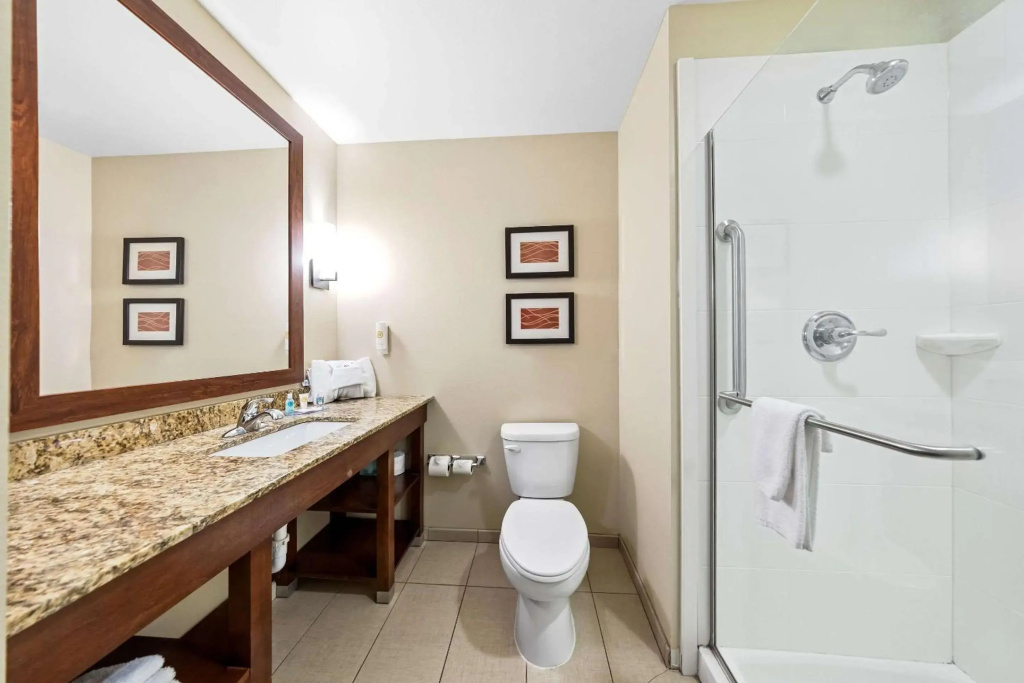 Comfort Inn & Suites West - Medical Center - Général