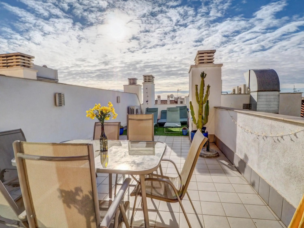 MIMOSA lovely apartment with great terrace