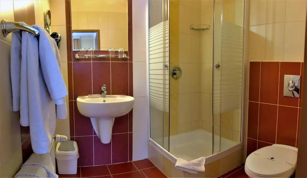 Viktória Hotel - Chambres
