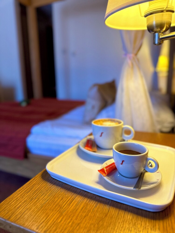 Hotel Restaurant Gondűző - Général