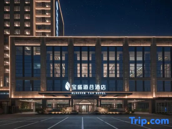 Tai'an Blossom Tao Hotel
