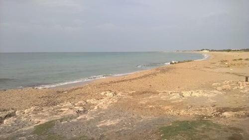 Beach & Waterfront