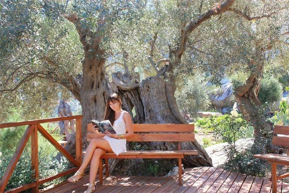 Sa Pedrissa Agroturismo – Adults Only - Général