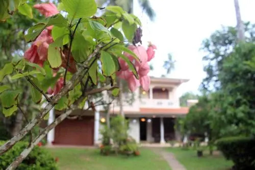 444 C Anura Home Stay