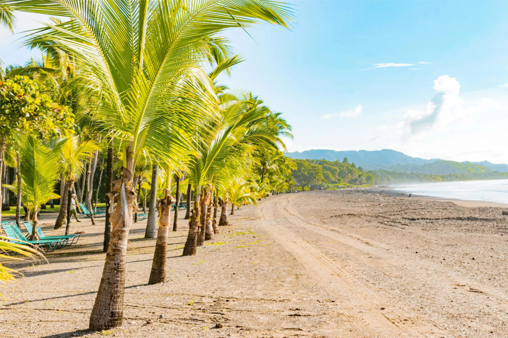 Barceló Tambor - фото 28