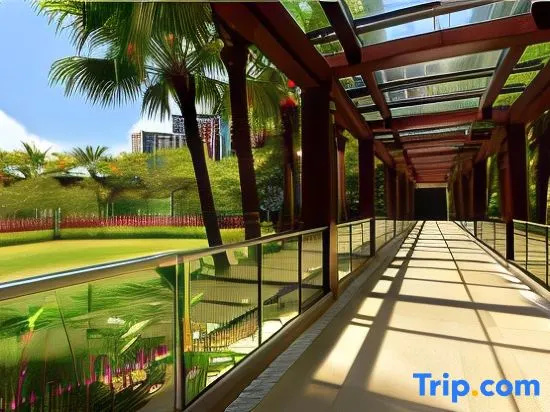 Balcony & Terrace