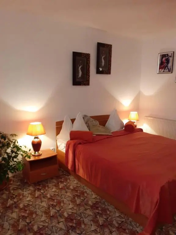 Vila Floare de Colt - Chambres