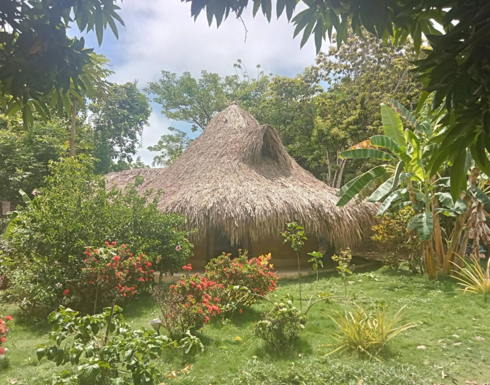 Finca Los Mangos