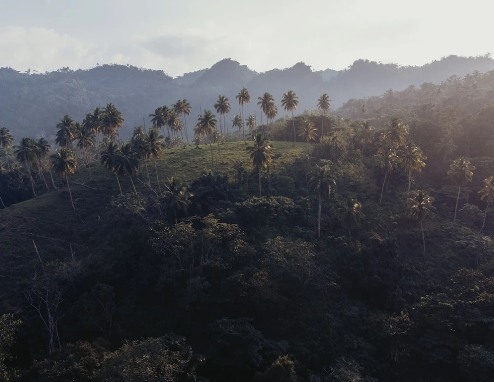 El Pueblito