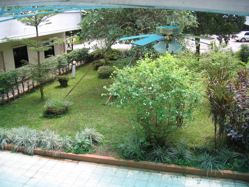 image url