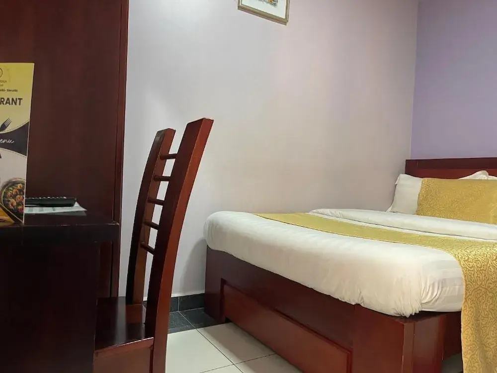 Standard Double room with balcony and with city view (full double bed)