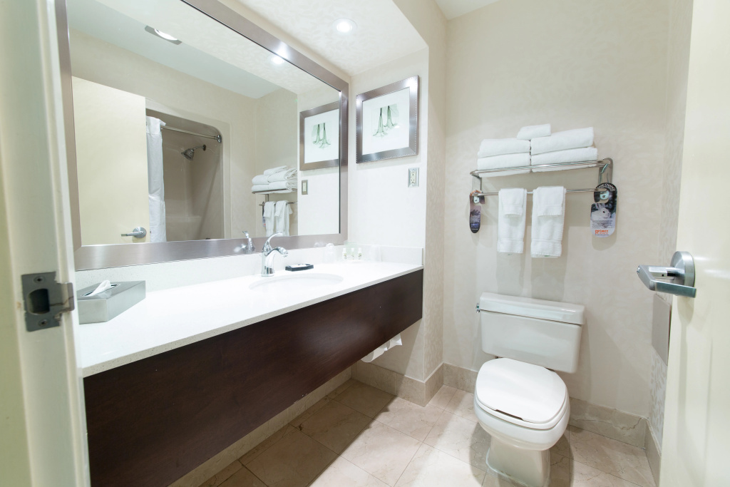 Holiday Inn & Suites Windsor Ambassador Bridge by IHG - Général
