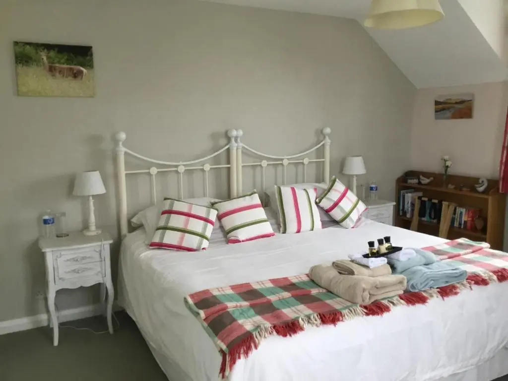 Deluxe Double room (full double bed)