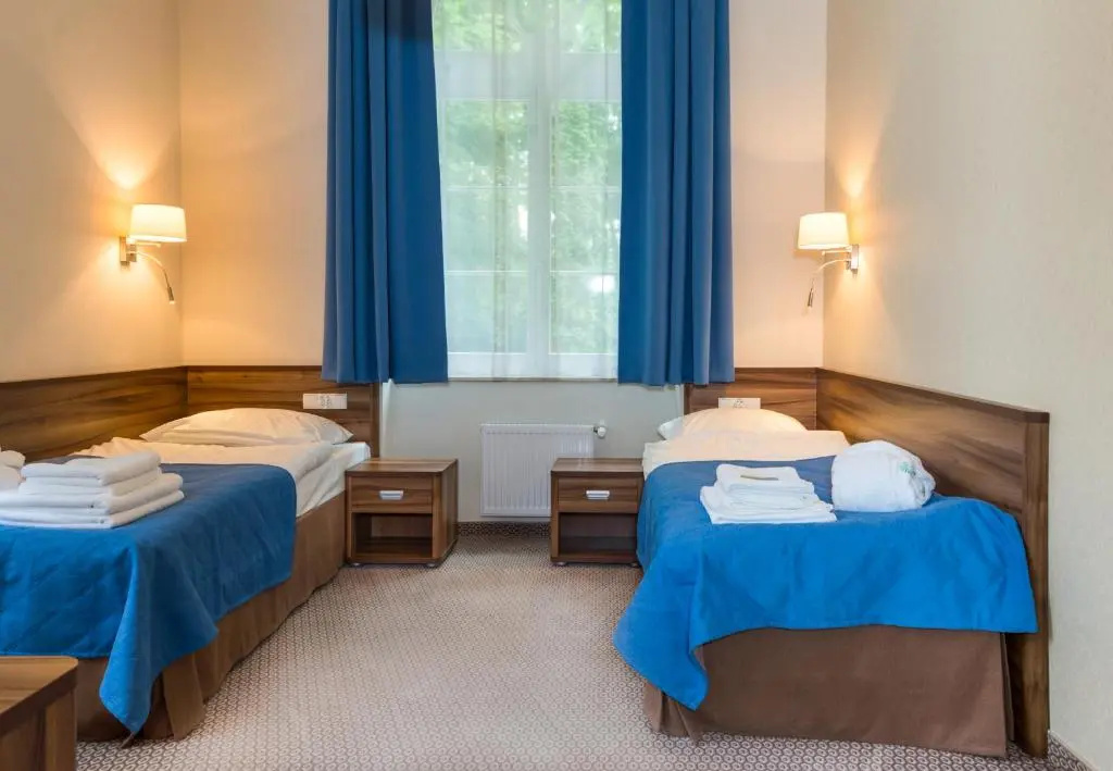 Deluxe Double room (twin beds)