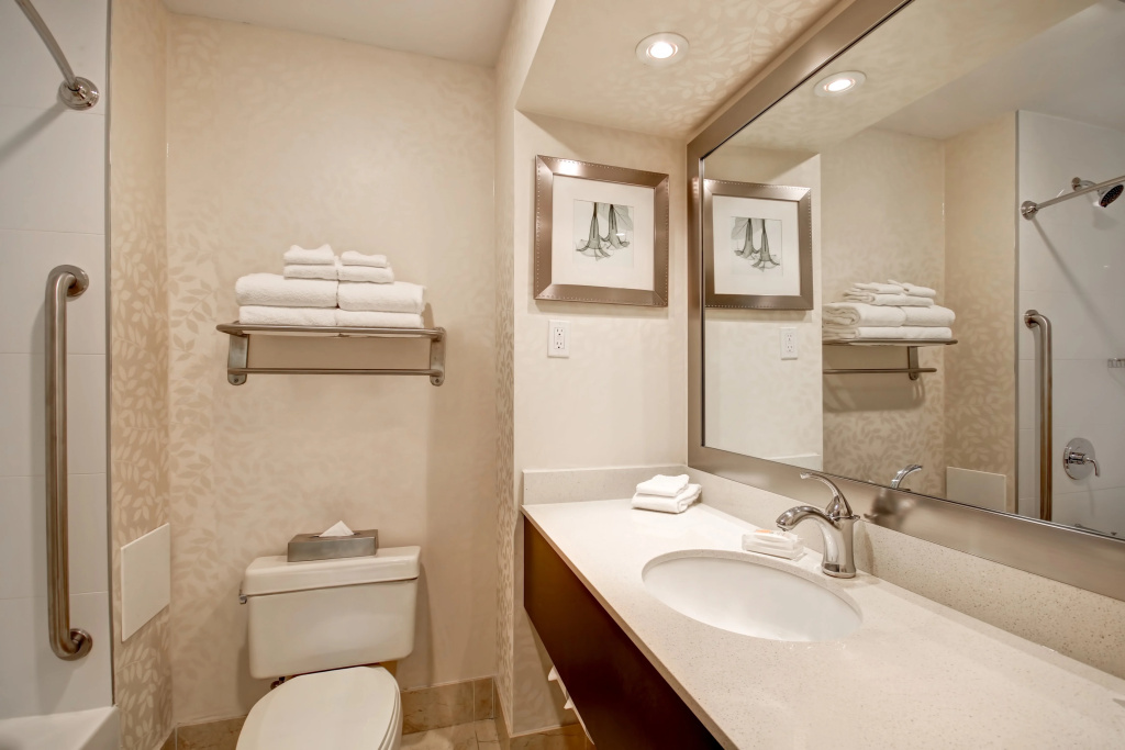 Holiday Inn & Suites Windsor Ambassador Bridge by IHG - Général
