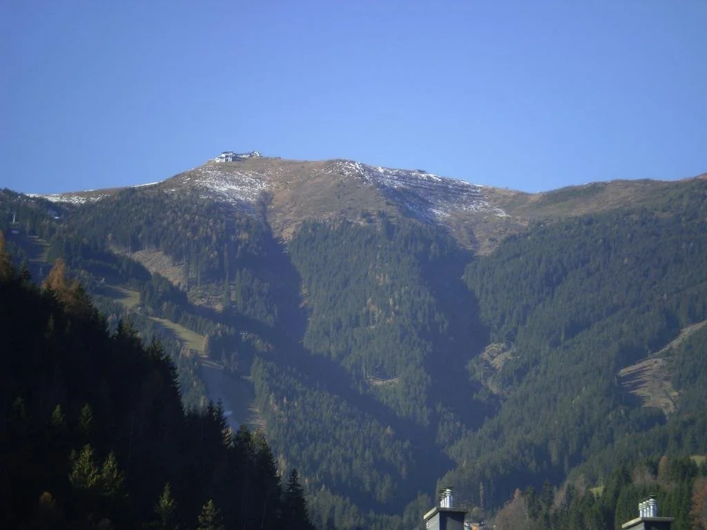 Appartements Steiner