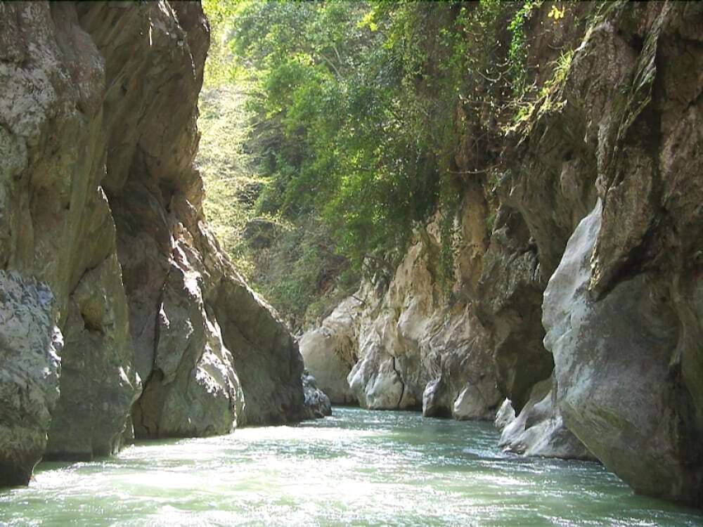Image 13